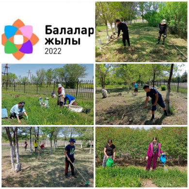 Озеленение школьной территории