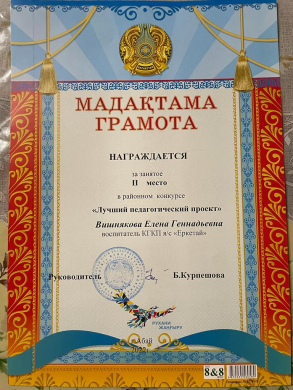 Лучший педагогический проект