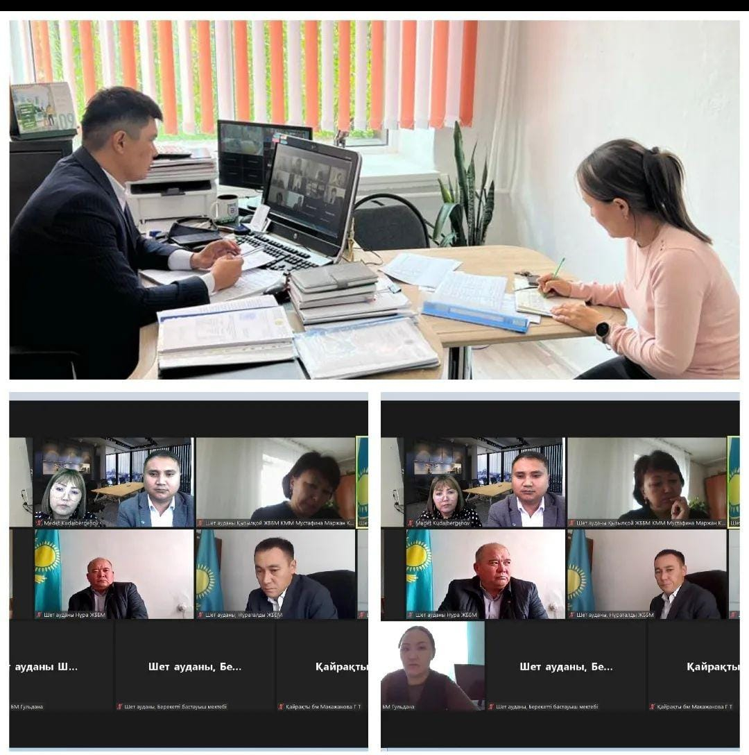 15 магниттік мектеппен ZOOM платформасы арқылы әдістемелік кеңес