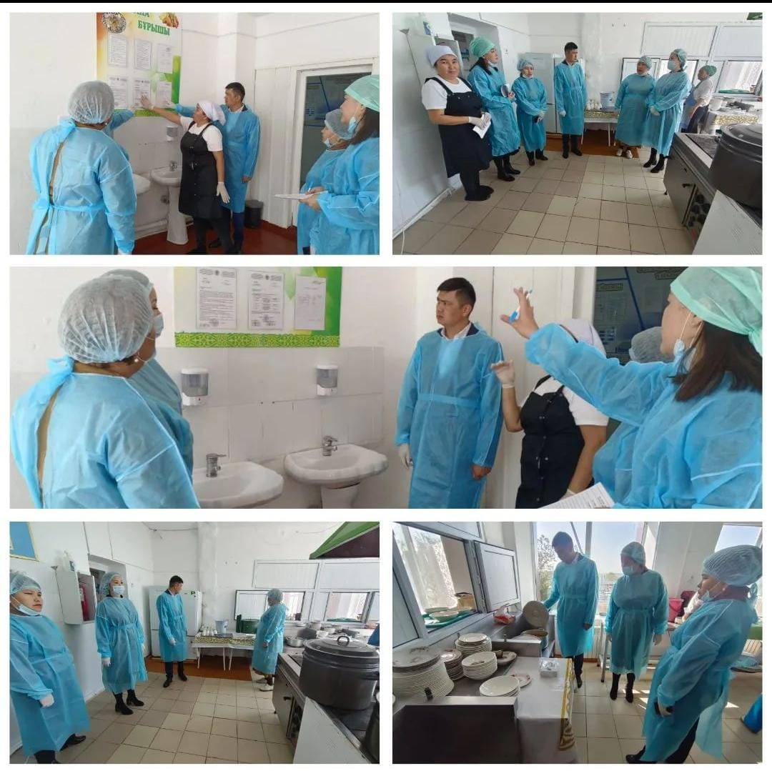 ТАМАҚТАНУ САПАСЫНА МОНИТОРИНГ