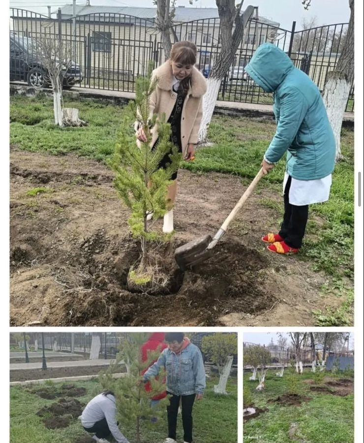 Жасыл аймақ акциясыаясында 10 дана емен ағашы отырғызылды