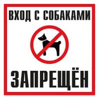 Кезбе иттермен кездескенде өзін-өзі ұстау