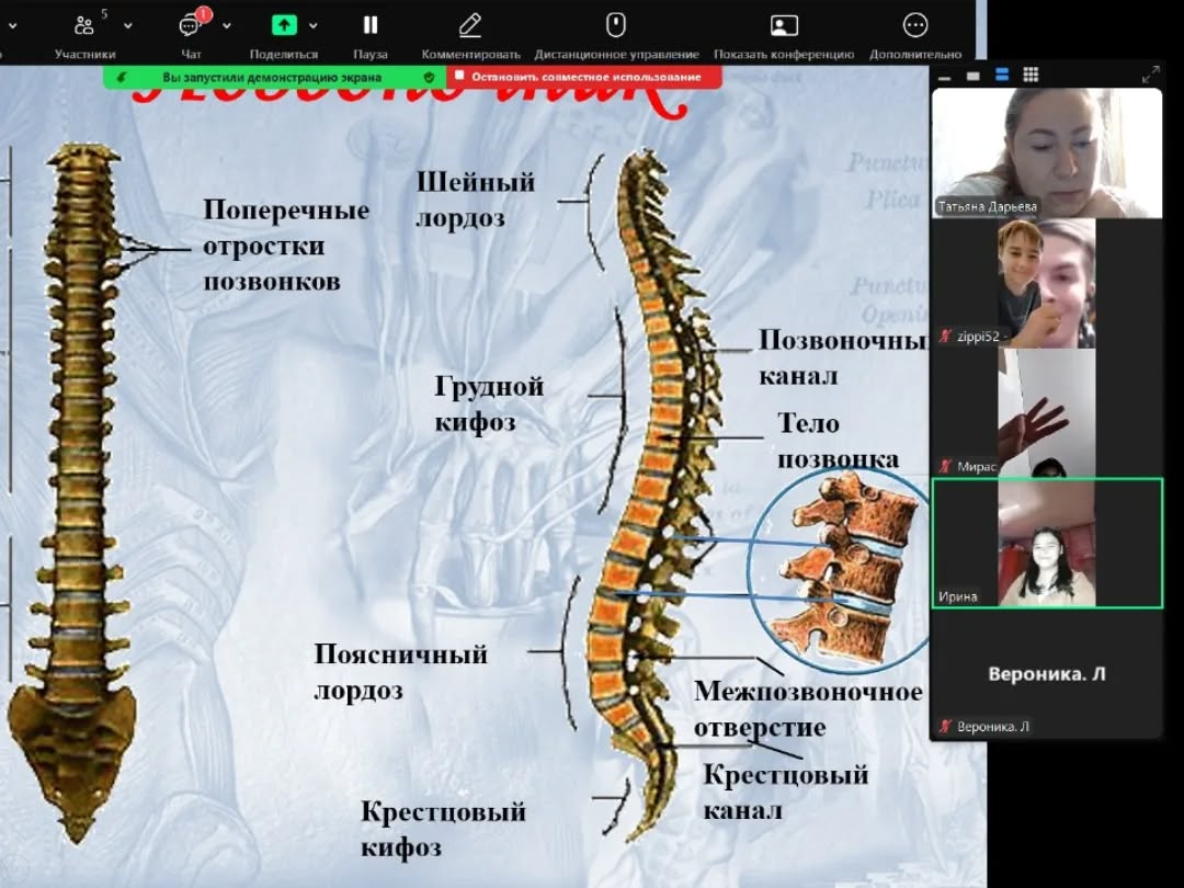 дистанционный формат обучения.