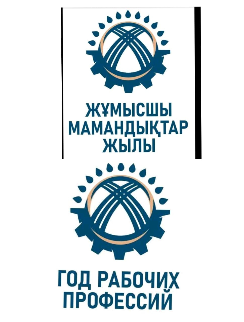 Жұмысшы мамандар жылы