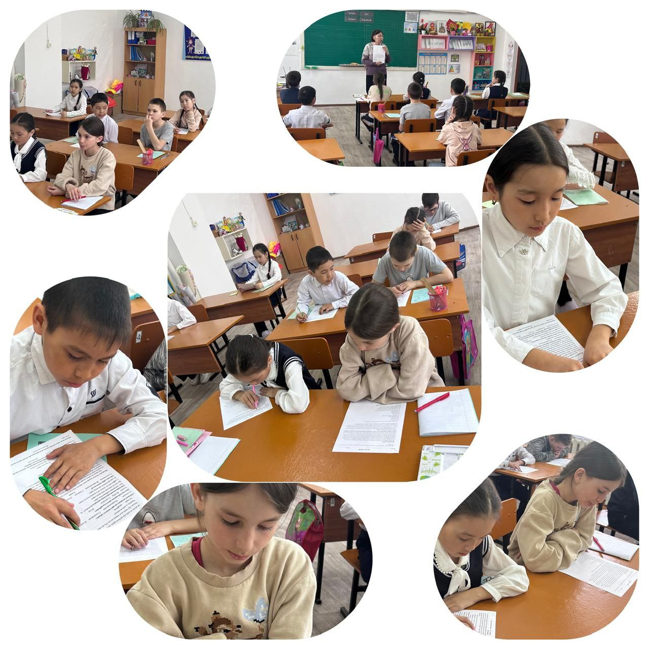 ББЖМ дайындық