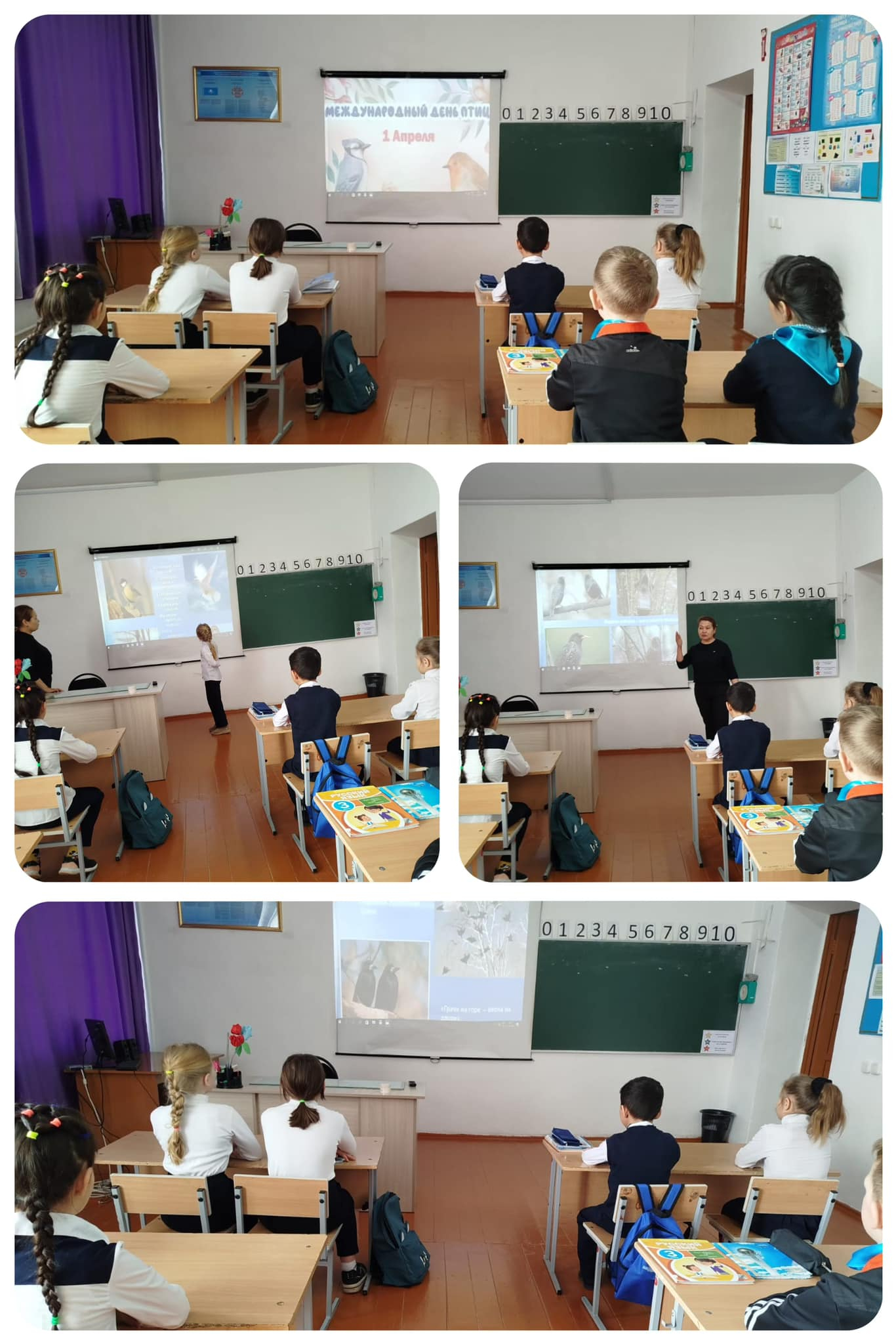 Международный день птиц