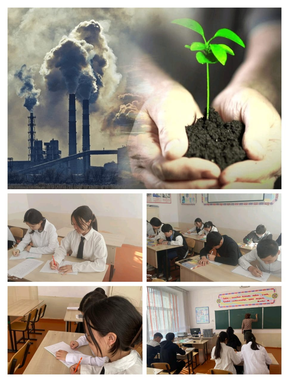 Халықаралық құстар күні