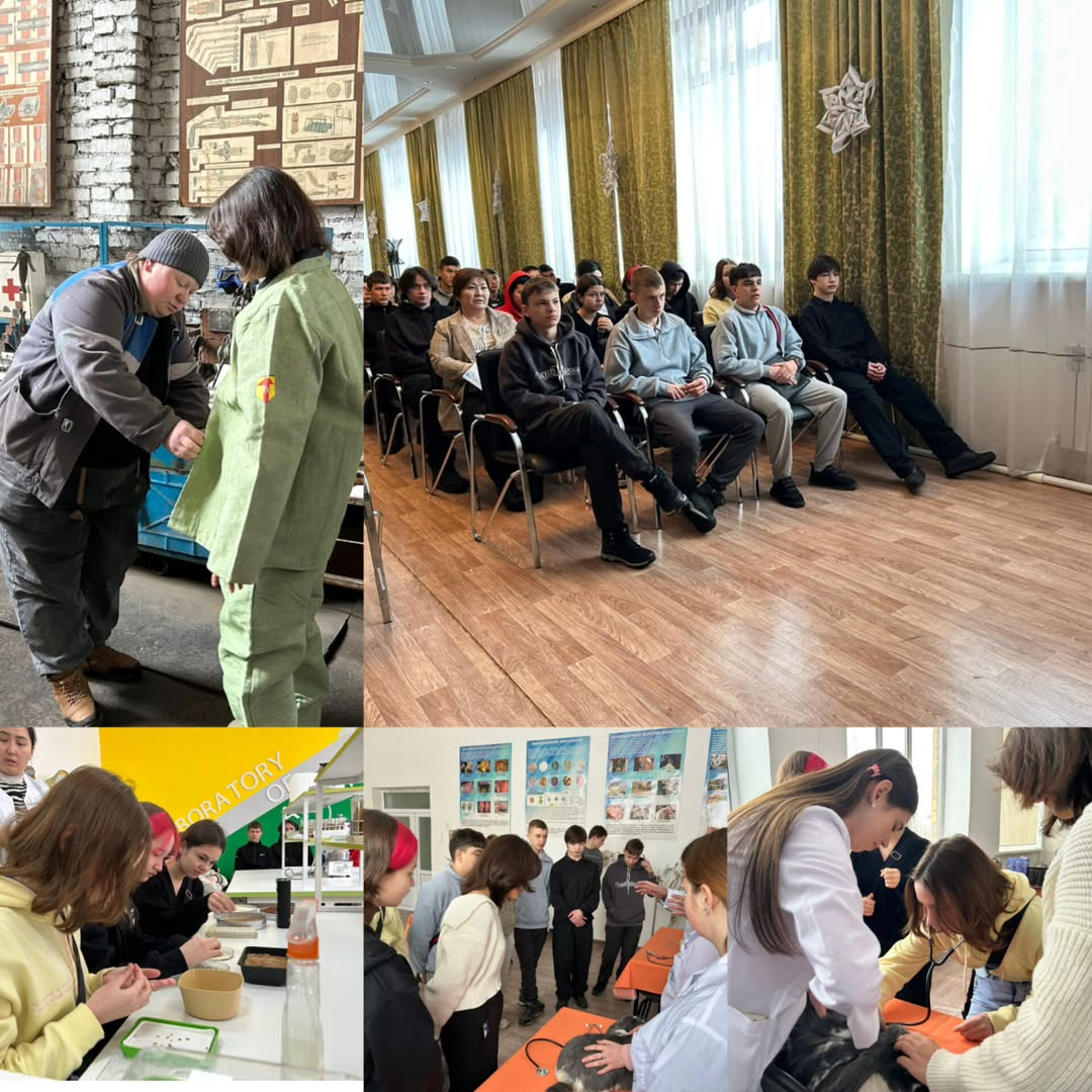 Математикалық сауаттылық апталығы аясында, 9 сынып оқушылары үшін “Н. Әбдіров атындағы ТМ (РО)