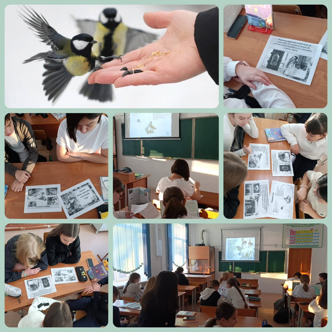 «Нүркен Әбдіров атындағы ОБС (ОҚ)» КММ 7-сыныптарында «Қыста құстарды қалай дұрыс тамақтандыру керек» тақырыбында сабақ өтті.