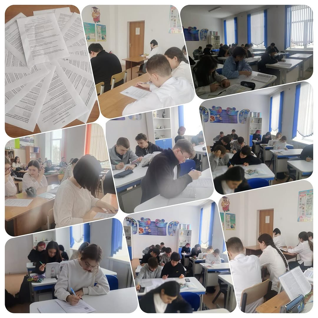 2024 жылдың 13 ақпанында 5-11 сынып оқушылары өрт қауіпсіздігі бойынша тест тапсырды.