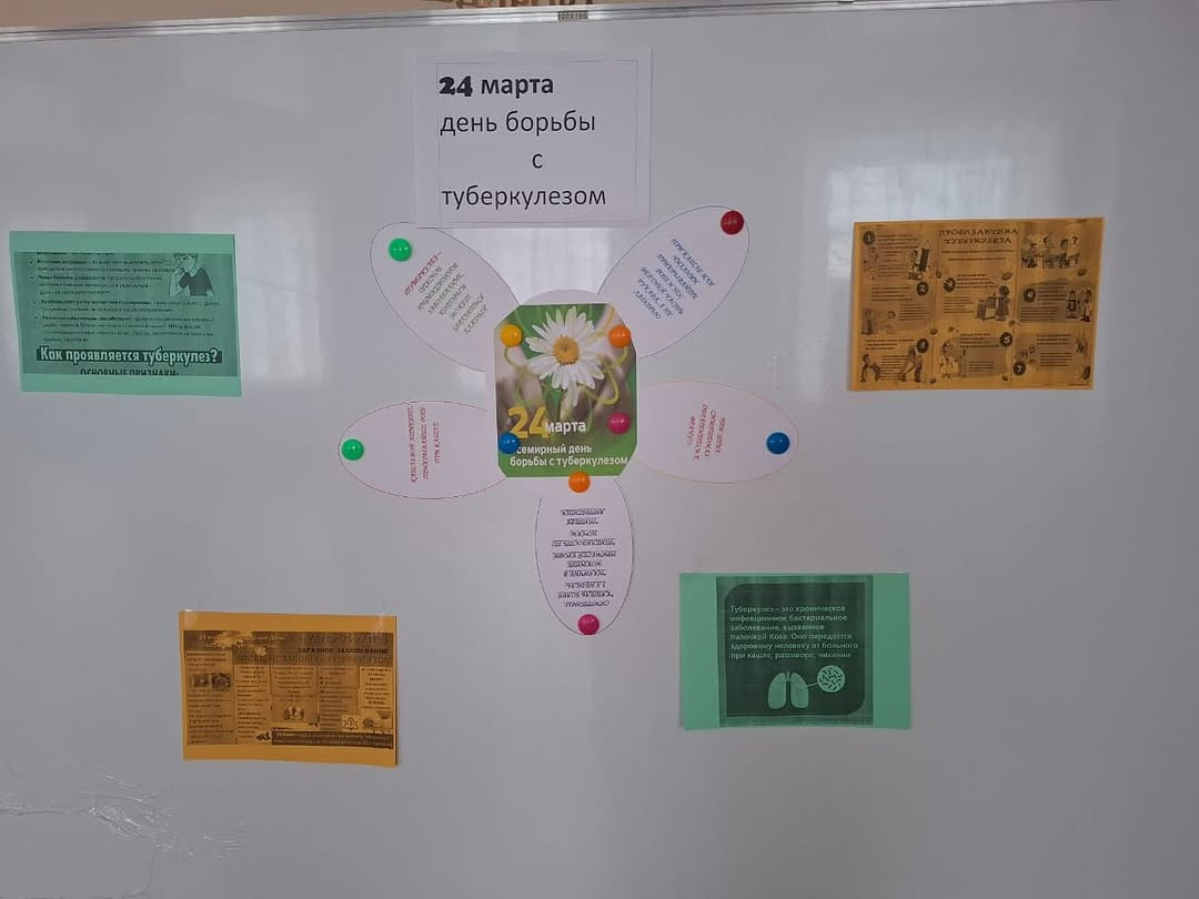 Мектептің аға тәлімгері Д. Н. Тышер туберкулездің алдын алу бойынша стендтік ақпарат дайындады .