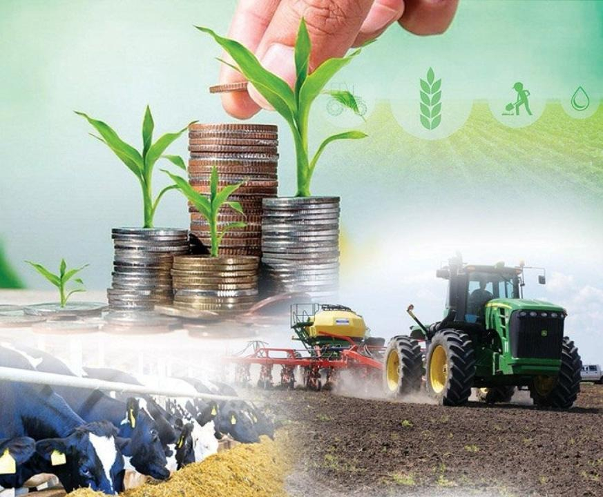 Ауыл шаруашылығы – ел экономикасының басым салаларының бірі. Қазақстан халқының 38 пайызы немесе 7,6 миллионға жуық адам ауылдық жерлерде тұрады.