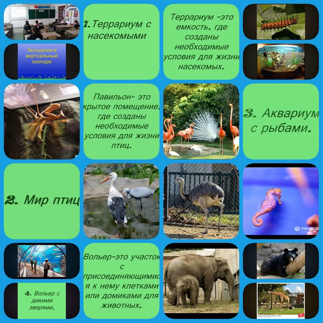 Знакомство с  животными, занесенными в Красную книгу Казахстана.