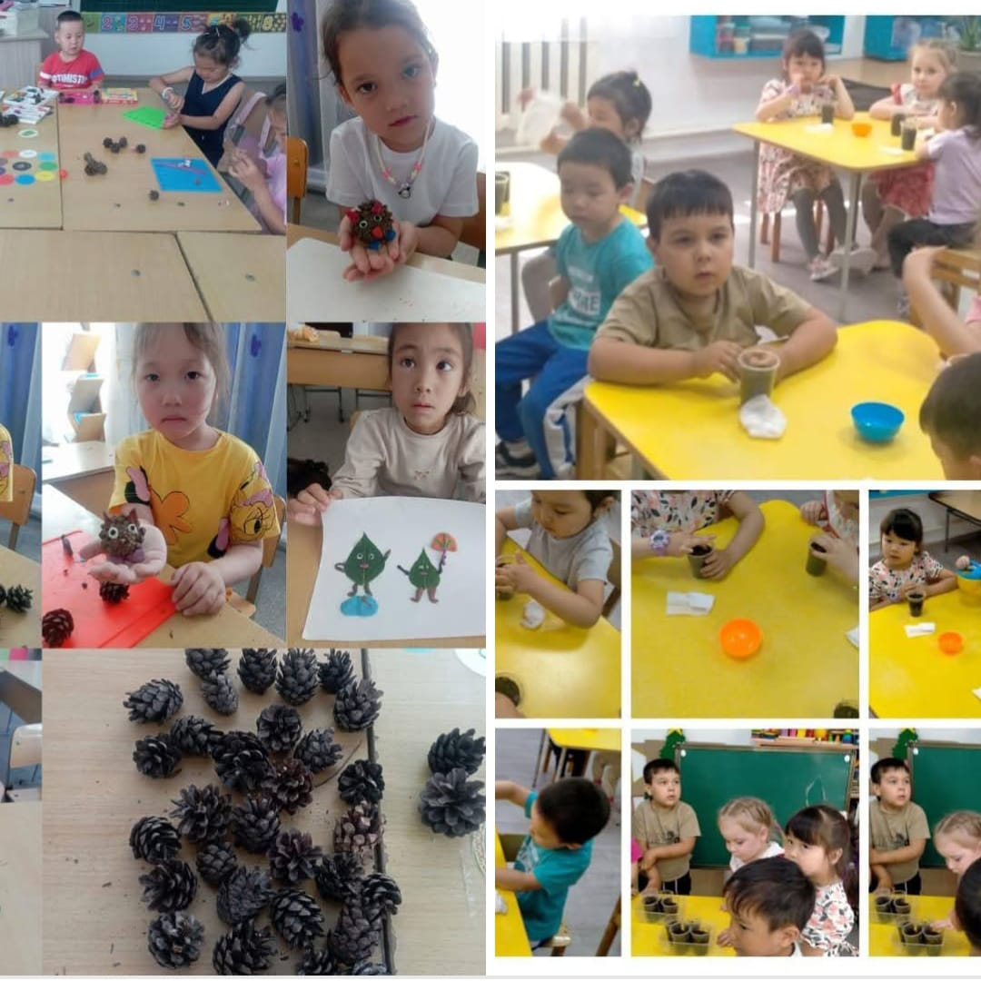 Третий день недели экологической грамотности 