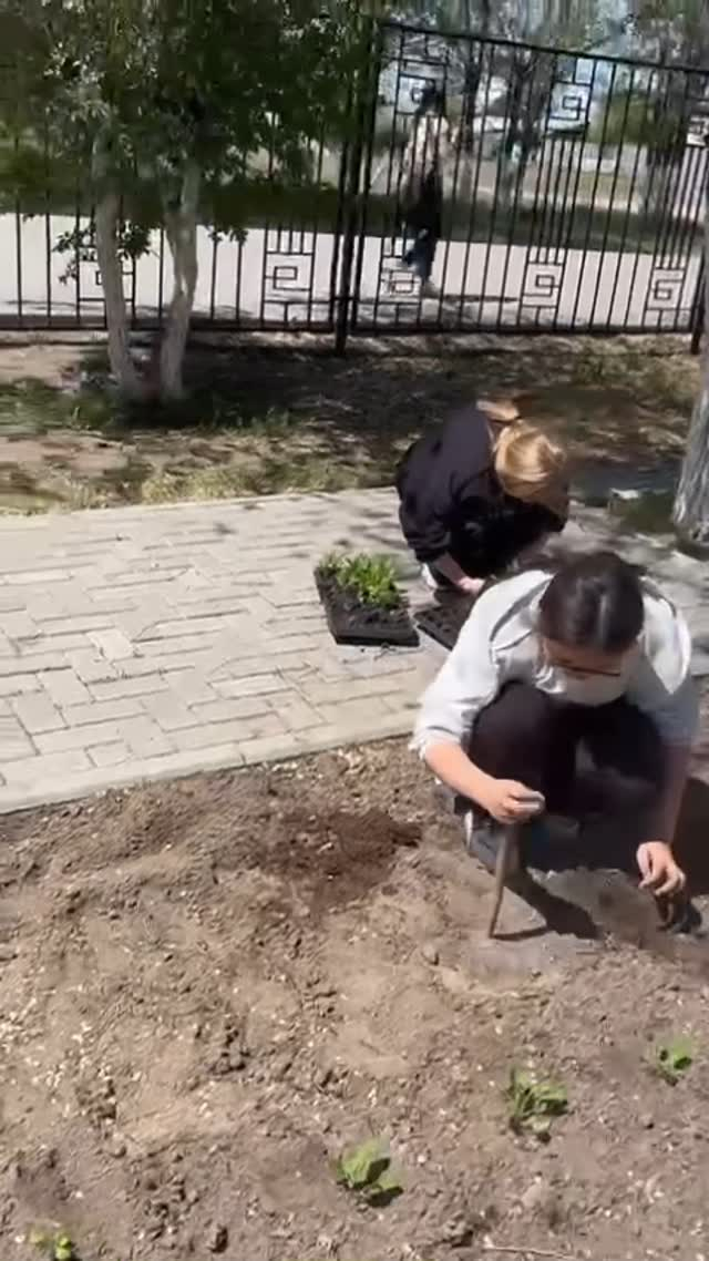 Көгалдандыру жылы және достық жағдайда өтті.