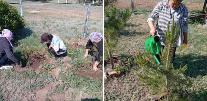 Сенбілік өтті