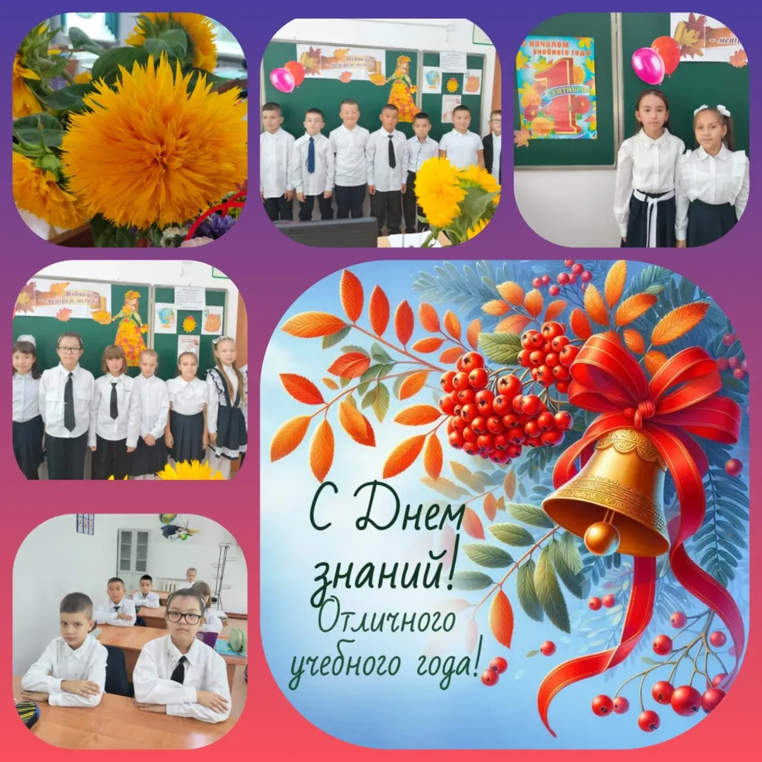 2 қыркүйек күні 1-сынып сағатында 4А сынып оқушылары мейірімділік, еңбексүйгіштік, басқа адамдарды сыйлау, туған жерге, елге деген сүйіспеншілік, қамқорлық туралы әңгімеледі. 