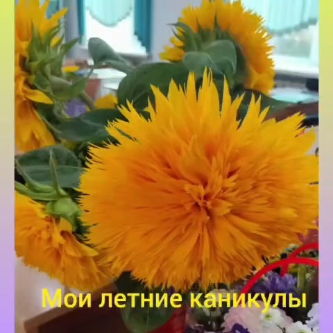 4 «А» сыныбында «Жазғы демалыстың жарқын естеліктері» атты қызықты челлендж өтті.