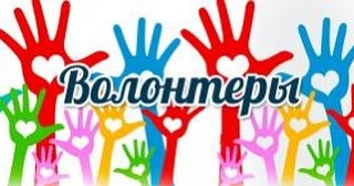 Волонтеры