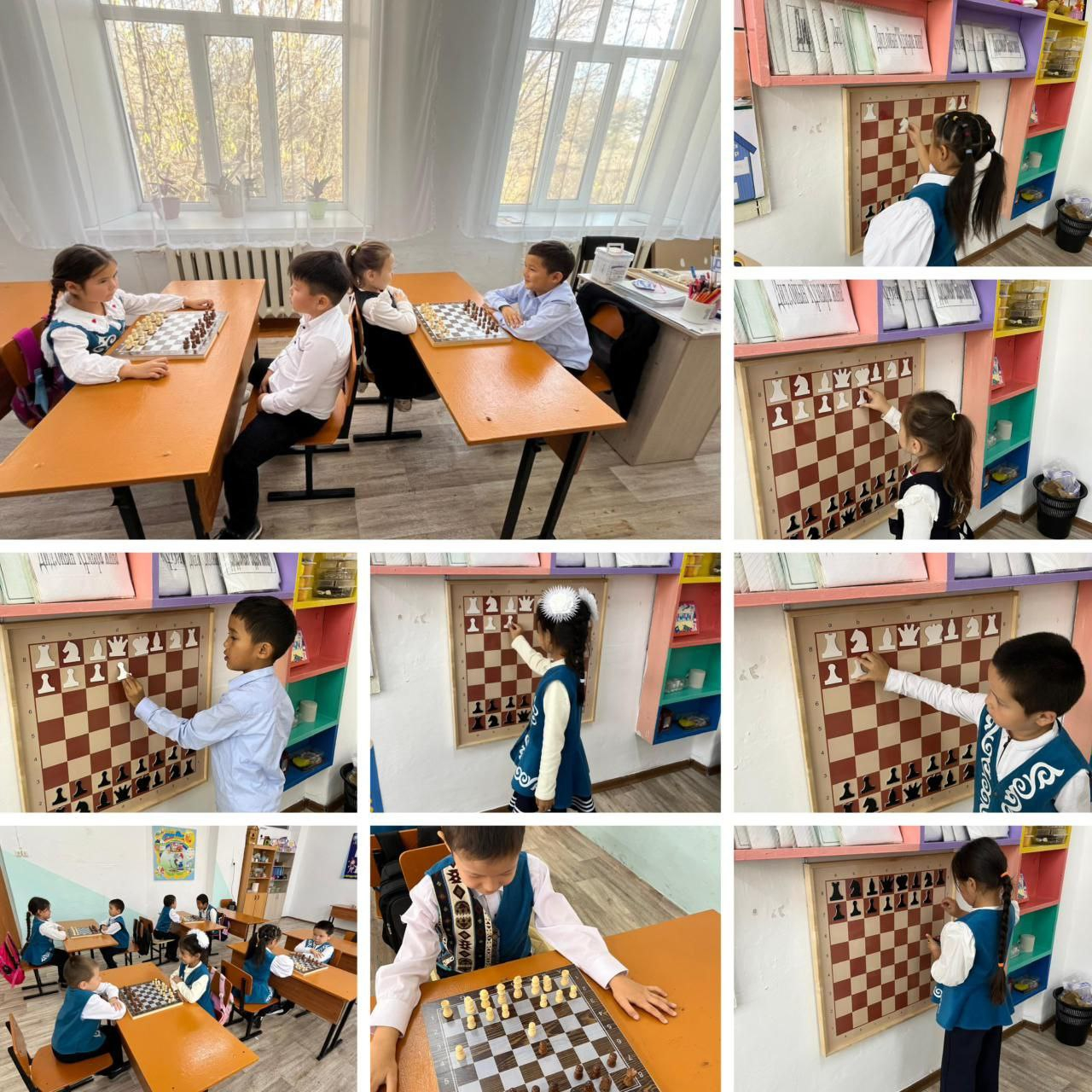  “Шахмат негіздері” 