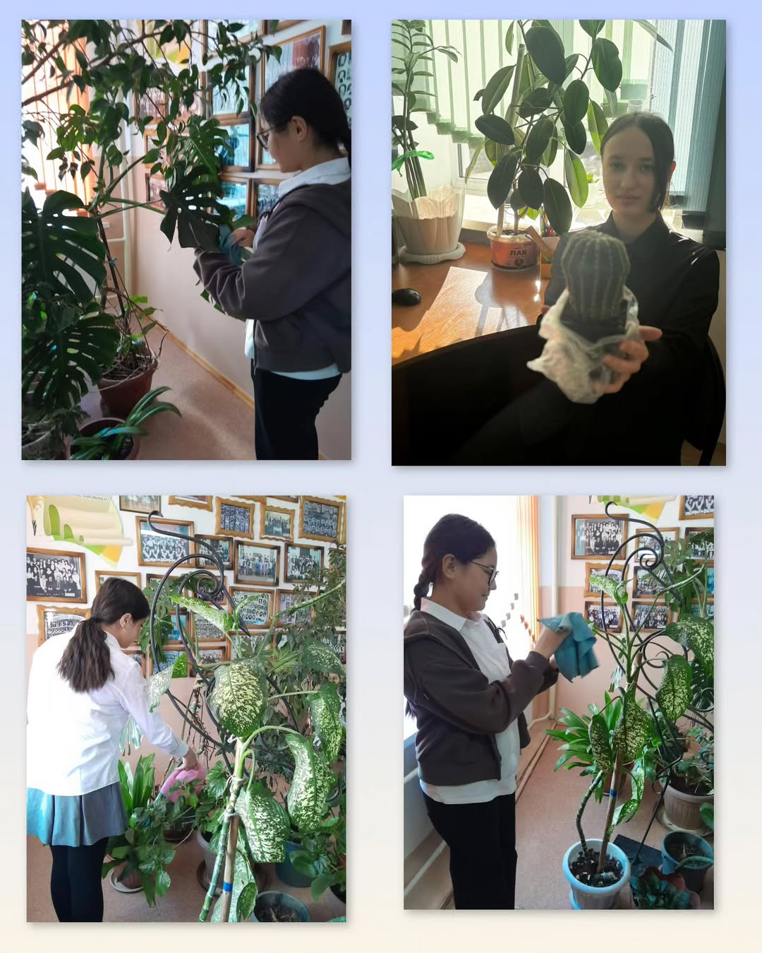 Жасыл клуб қатысушылары үшін бөлме өсімдіктерін трансплантациялауға, кесуге және толық күтімге арналған семинар ұйымдастырылды.