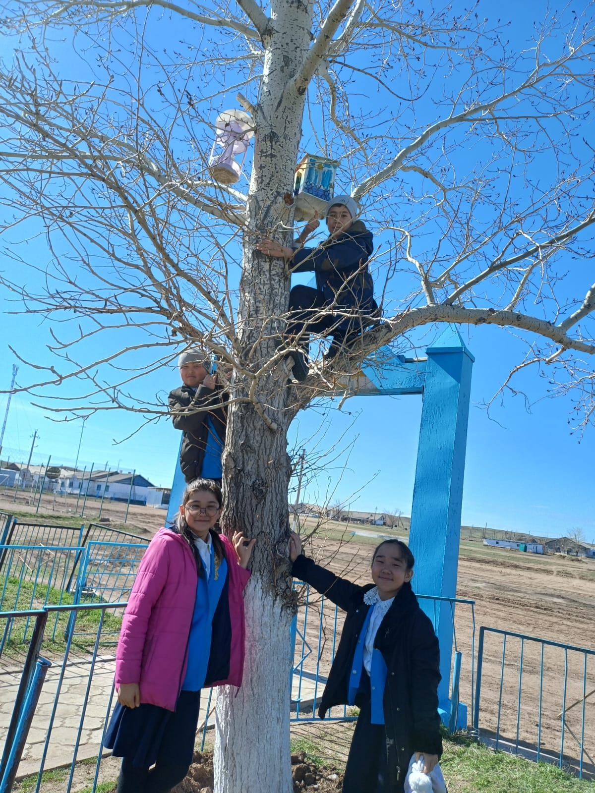 Табиғатқа қамқорлық жасаймыз