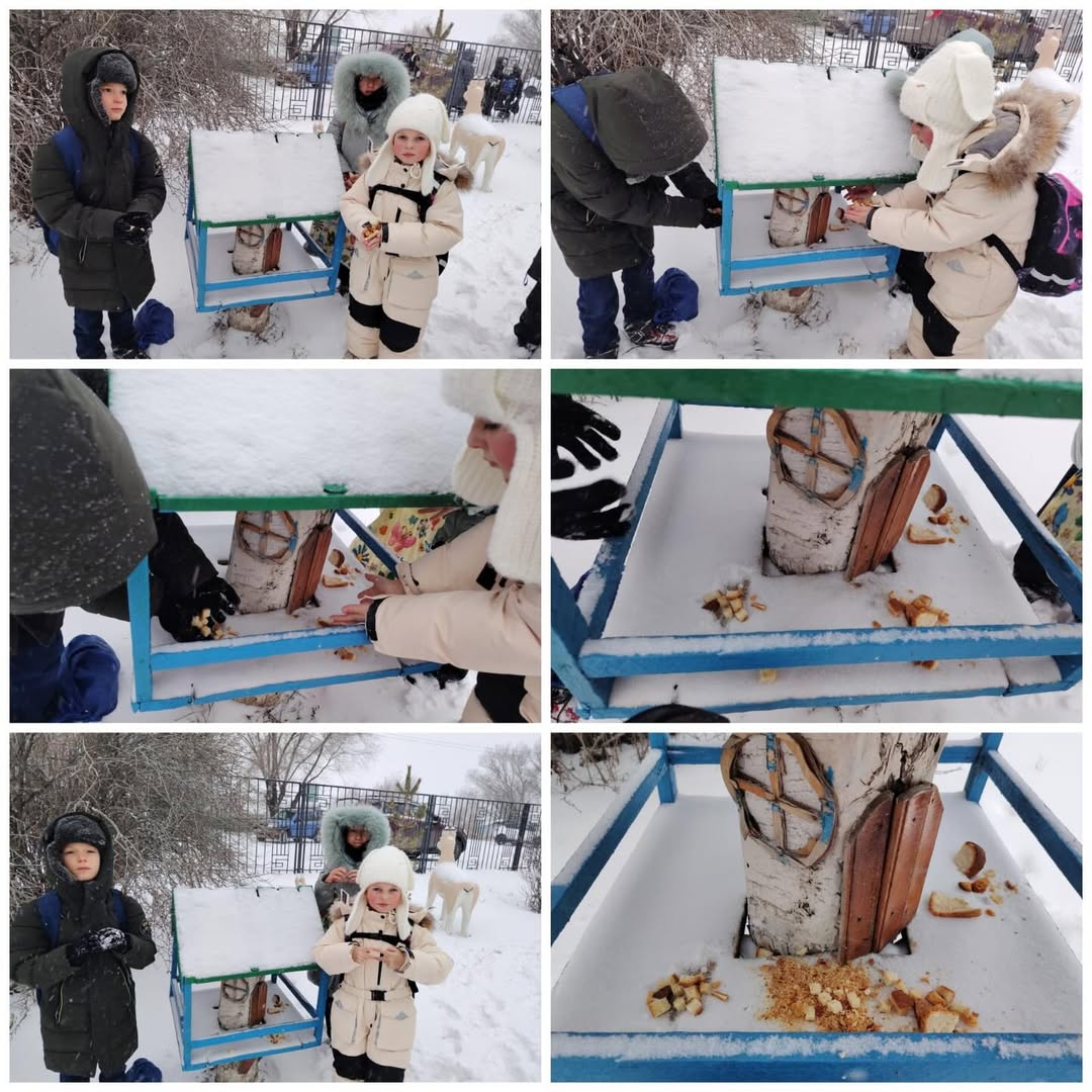 Қыста құстарға тамақ табу қиынға соғады және дәл қазір олар біздің қолдауымызды қажет етеді. Желтоқсан айында 