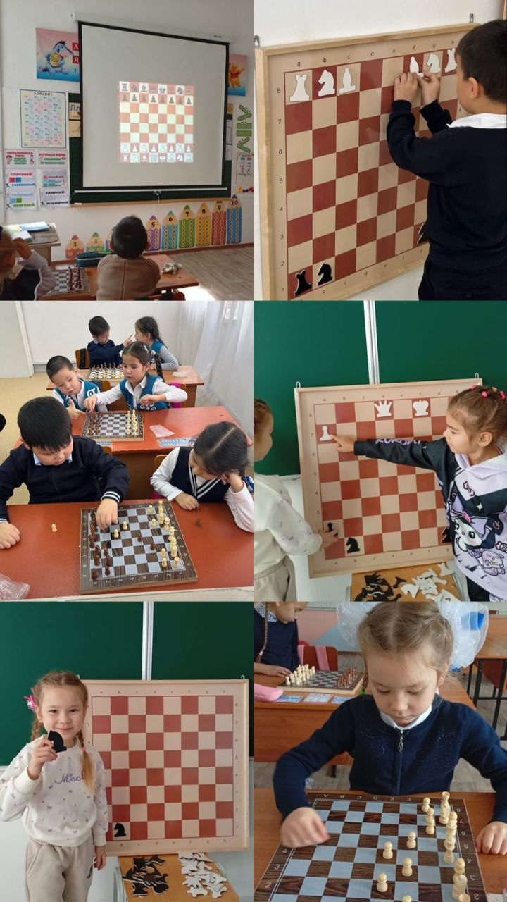 “Шахмат негіздері” 