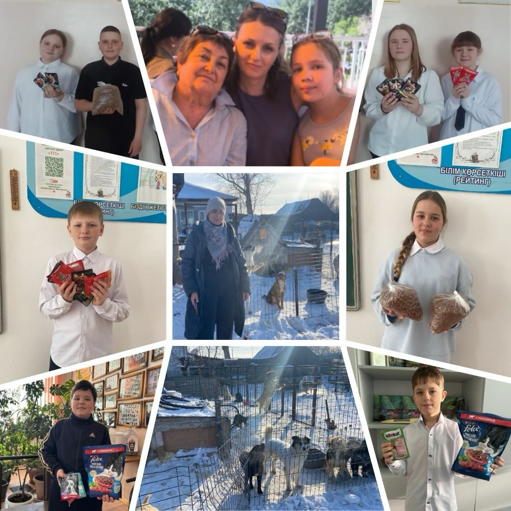 5–7 сынып оқушылары қамқорлық пен мейірімділіктің жарқын үлгісін көрсетті. Олар жануарларға арналған құрғақ және сұйық жемдерді жинап, сондай-ақ қаржылай көмек ұйымдастырды.