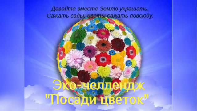 В период весенних каникул учащиеся 3 «Б» класса приняли участие в экологическом челлендже «Посади цветок».