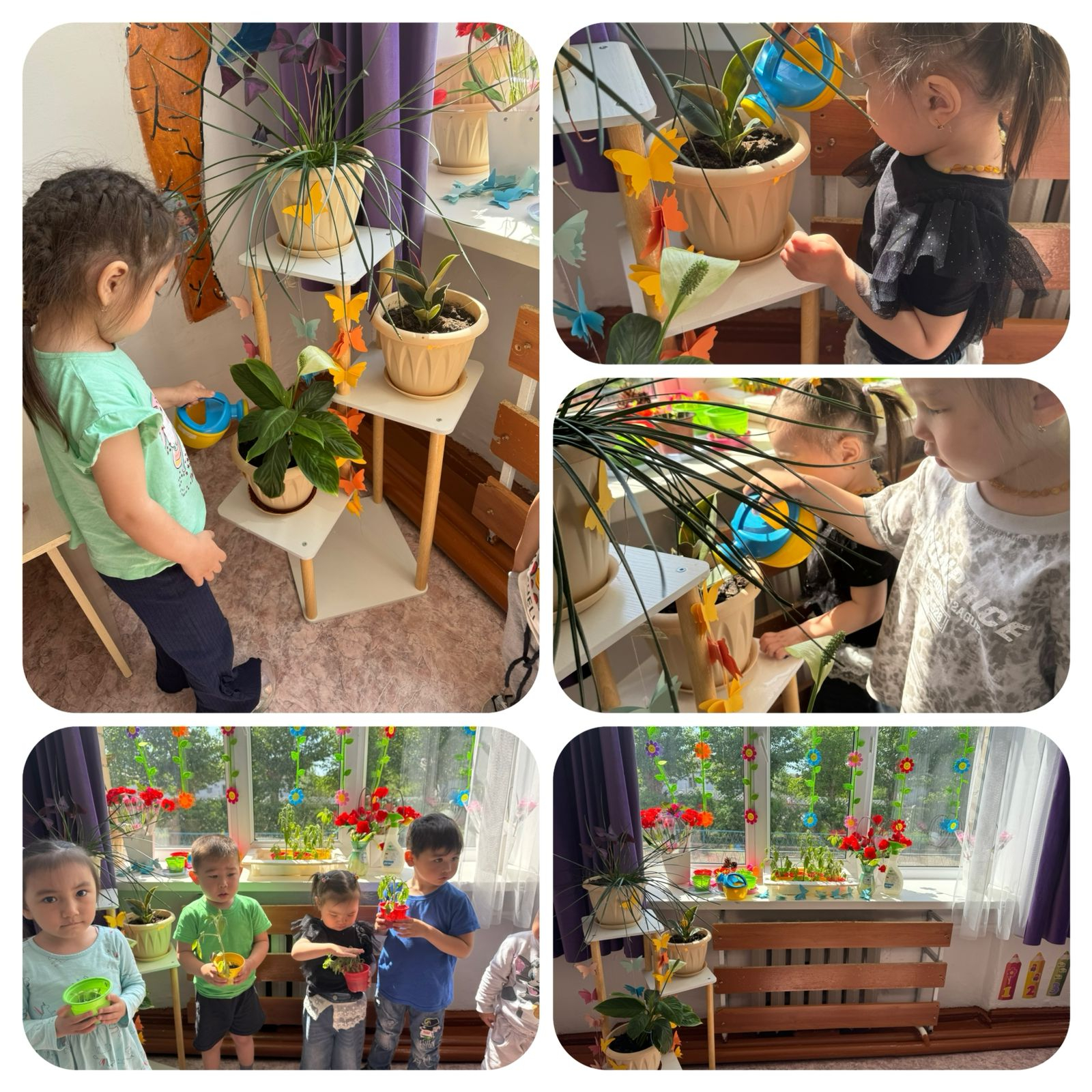 ”Еркемай”шағын орталық «Жасыл балабақша» жобасы