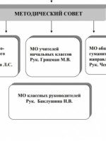 Баклушина Н.В