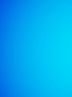 Григорьева  Юлия Сергеевна